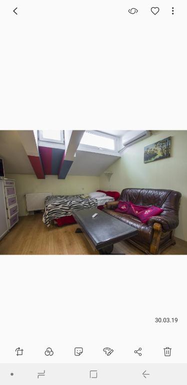 Tali Home room 2